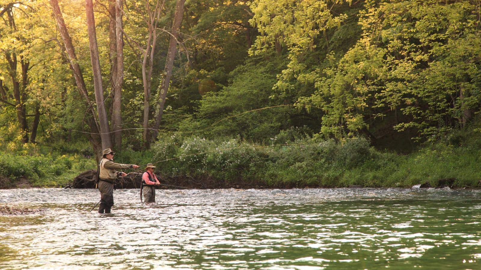 Two people fly fishing in the middle of a river with green trees in the background