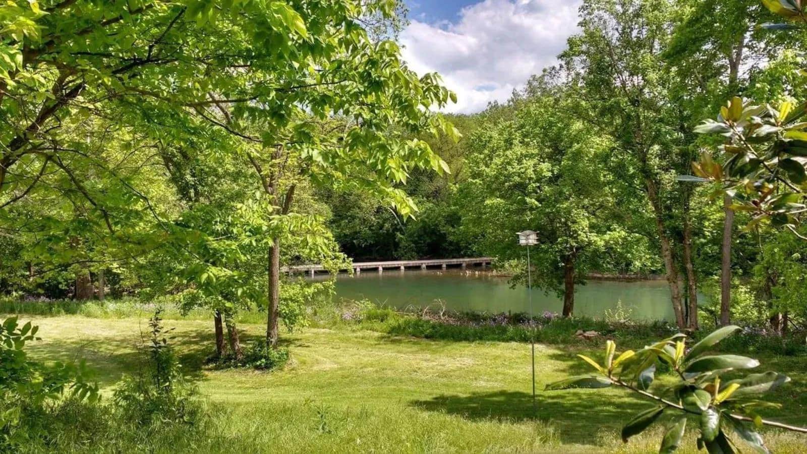 Area with green grass, large green trees, and small river